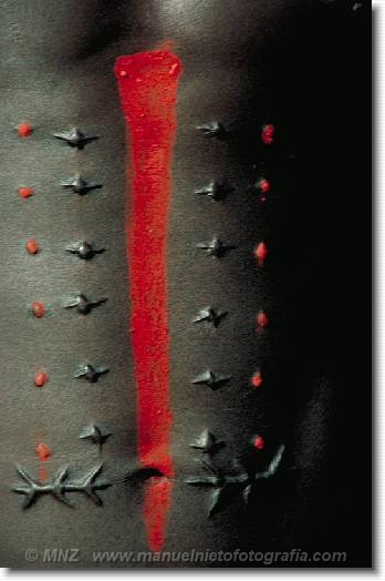 Diapositiva siguiente