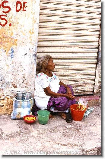 Diapositiva siguiente