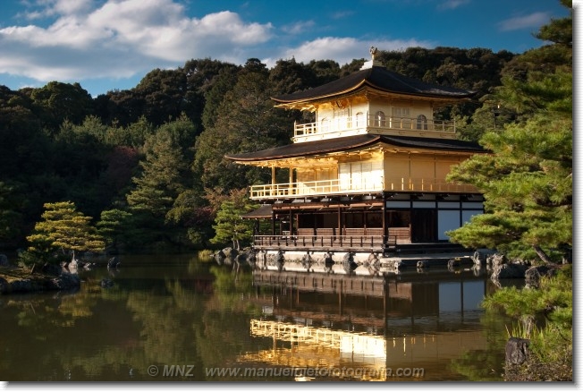 Diapositiva siguiente