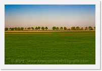 LM_258 * 640 x 426 * (51KB)